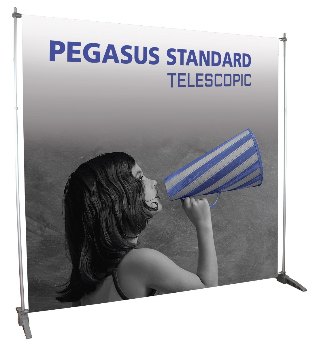 Pegasus Standard Telescopic Portable Banner Stand